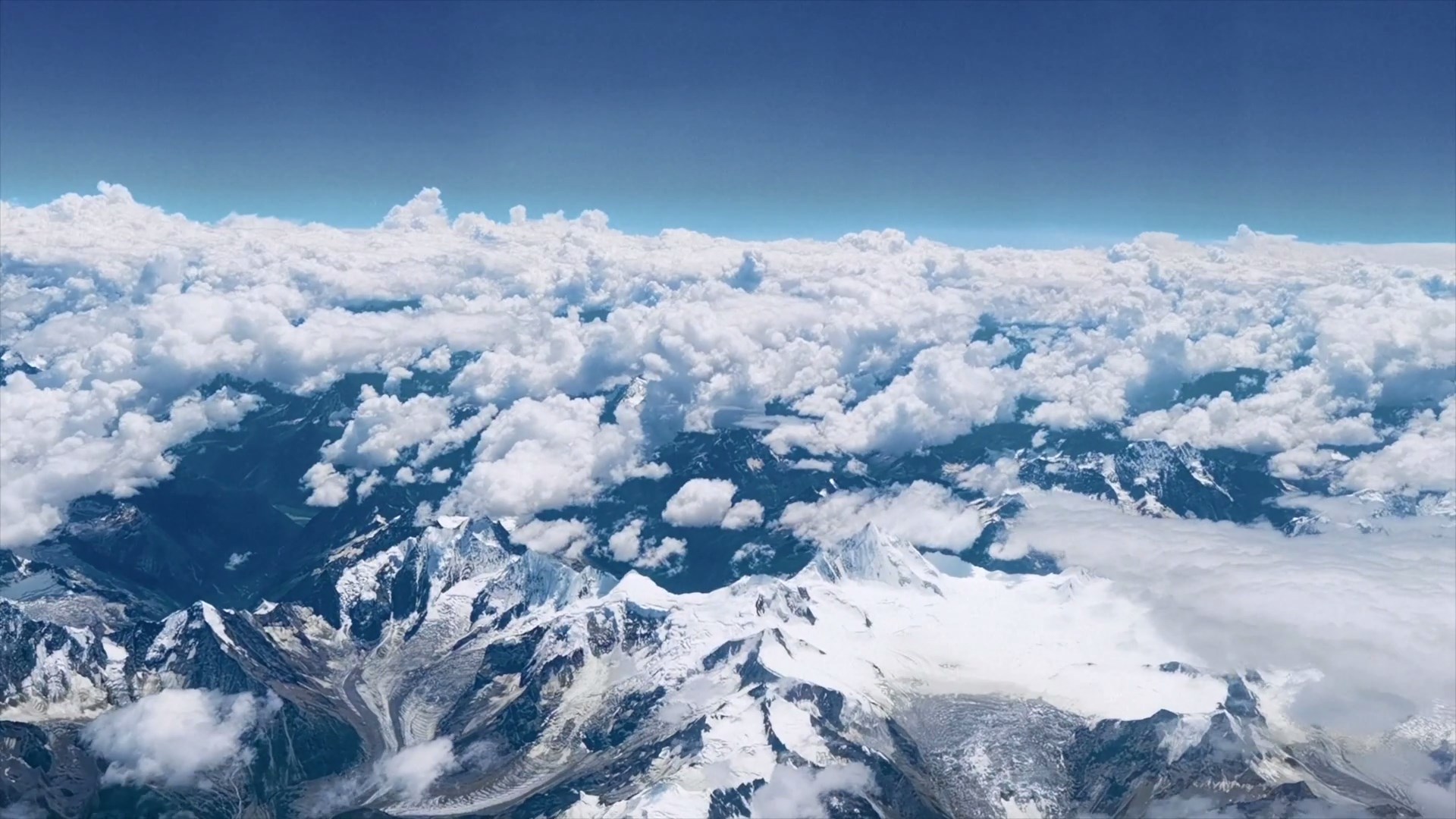 Sebuah tim yang terdiri dari empat orang muda telah bekerja di jantung Taman Nasional Gunung Qilian