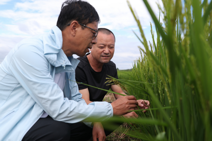 Tiongkok mengambil langkah-langkah bantuan bencana multi-cabang untuk meminimalkan dampak banjir terhadap produksi pertanian di daerah yang terkena dampak dan untuk mempercepat pemulihan kehidupan dan produksi normal