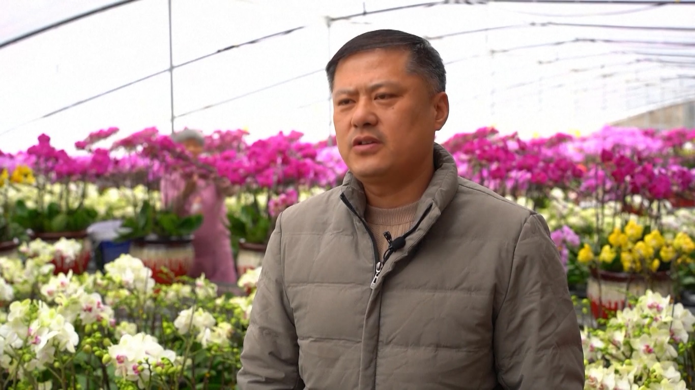 Melambangkan keberuntungan dan keberuntungan