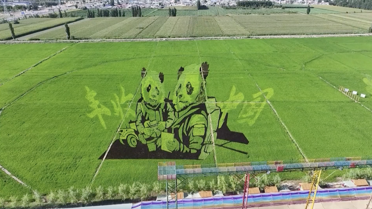 Gambar Seni Sawah Memukau Wisatawan di Xinjiang