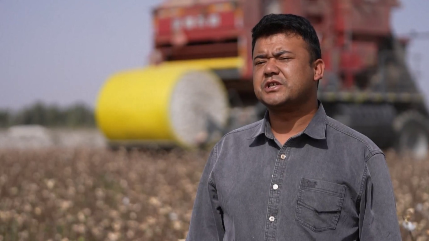 Daerah penanaman kapas seluas 2