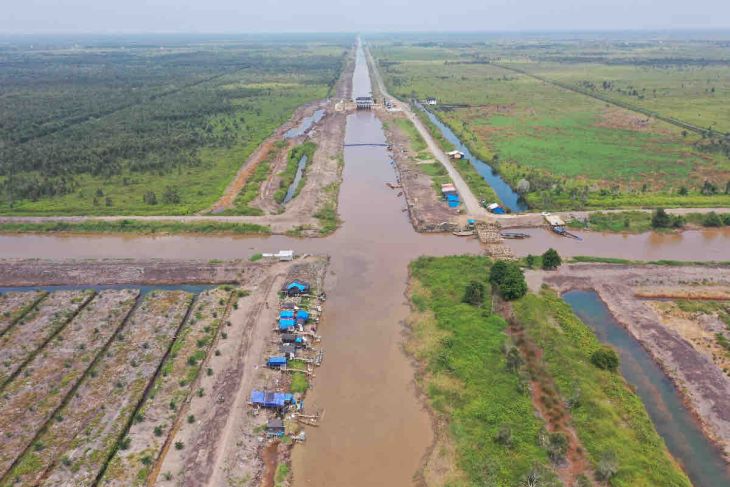 Program pengembangan sawah di lahan rawa ini berada di kawasan alluvial