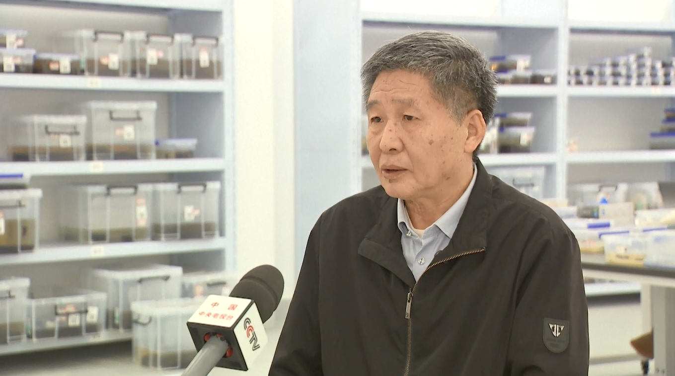 Penemuan Baru di Makam Wuwangdun Tawarkan Wawasan tentang Budaya Chu Kuno