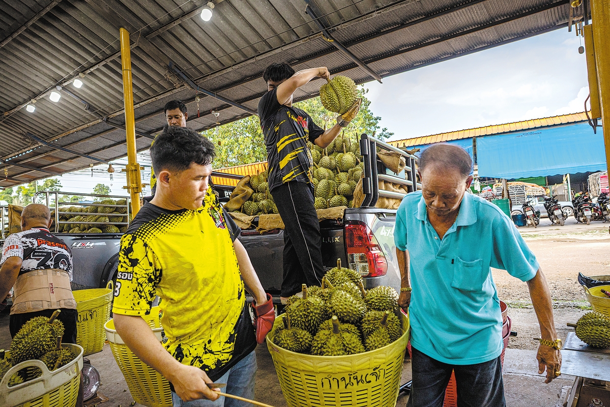 Tiongkok Berikan Akses Pasar Untuk 15 Kategori Pangan Dari Negara-Negara Sabuk Dan Jalan