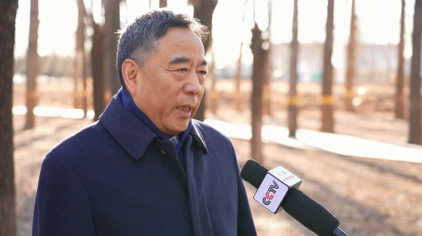 Jalan Tol Urumqi-Yuli Tingkatkan Konektivitas Perdagangan Xinjiang dan Perkuat Integrasi Regional