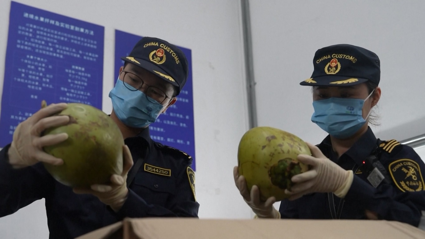 Pada bulan November 2024