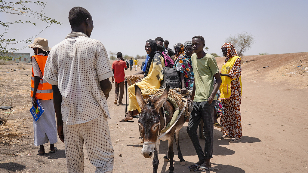 Masyarakat internasional harus lebih bersabar dengan proses politik di Sudan Selatan