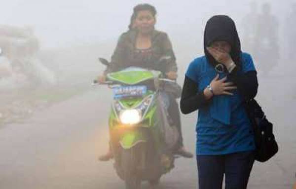 Dalam pidato sambutan di acara peluncuran BYD di Taman Mini