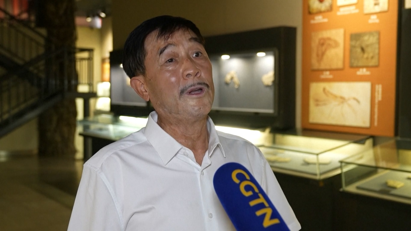 Terletak di sebelah barat Liaoning