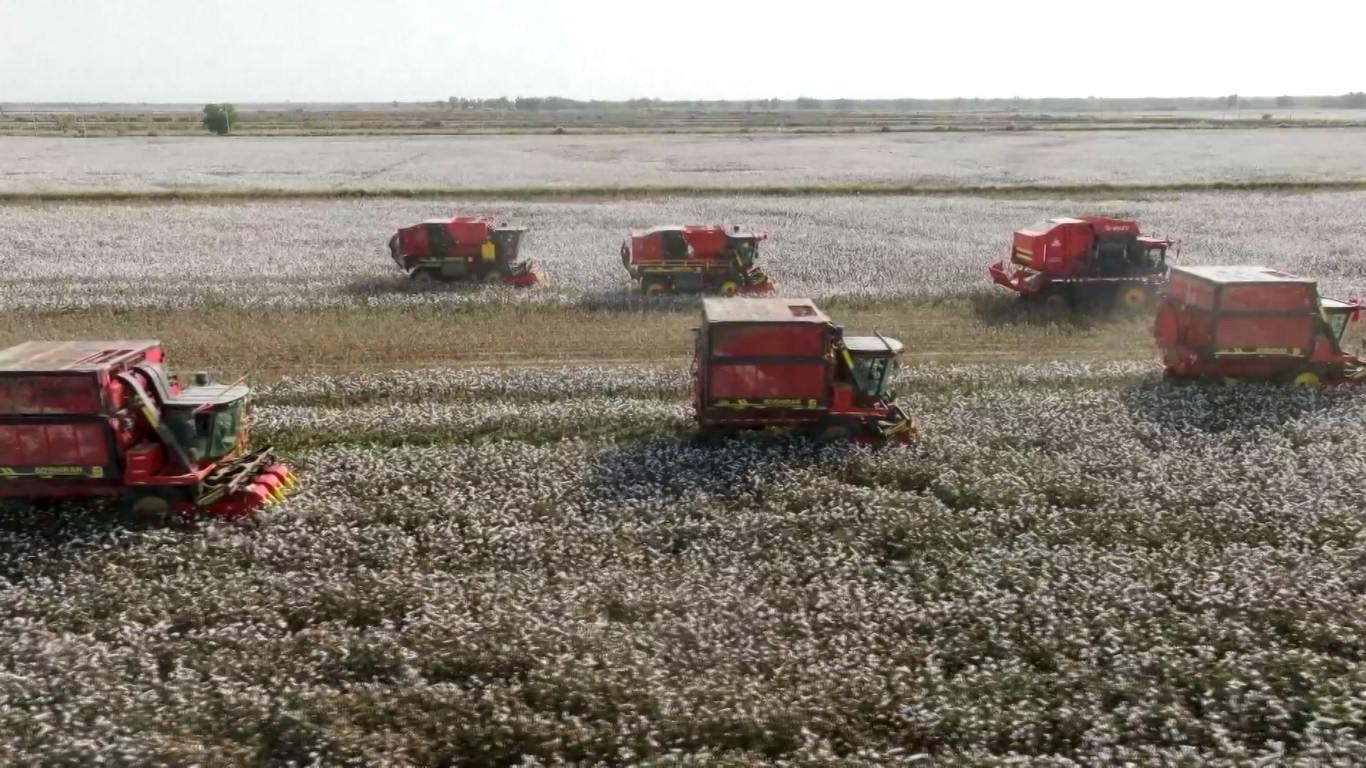 Para petani lokal menggunakan mesin pemanen kapas produksi dalam negeri yang tidak hanya mengotomatiskan proses pemanenan kapas