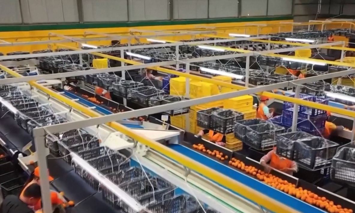 Ekspor produk dari wilayah tengah dan barat tumbuh pesat dalam dua bulan pertama tahun ini Ini menunjukkan bahwa wilayah tersebut terus membuka diri dan memberikan potensi perdagangan ke luar negeri