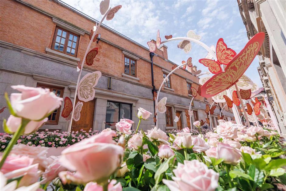 Ribuan mawar dan kupu-kupu bermunculan di Zhangyuan sebagai perayaan Festival Qixi mendatang yang juga dikenal sebagai Hari Valentine ala Tiongkok