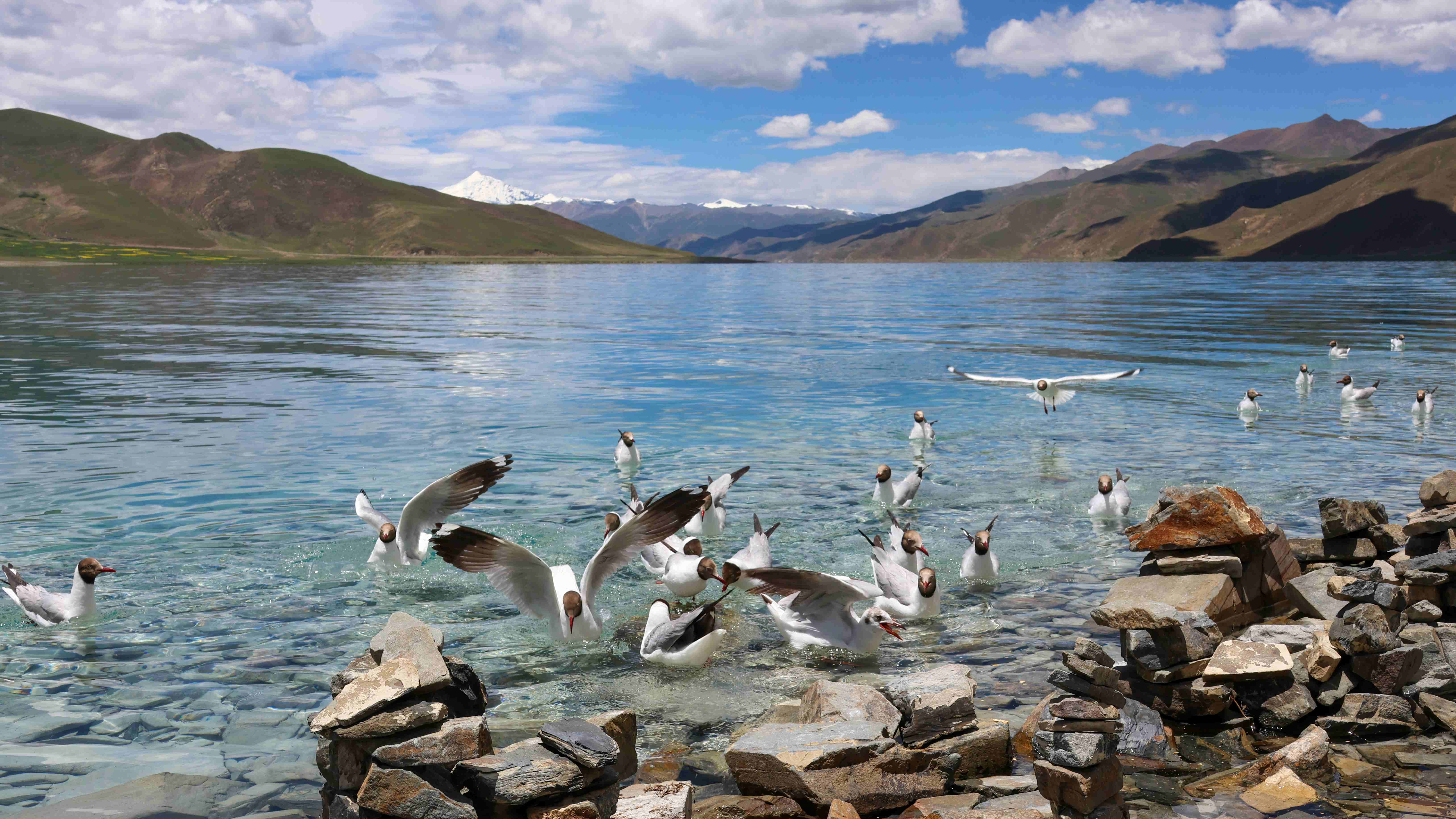 Simfoni Kehidupan di &#039;Atap Dunia&#039;