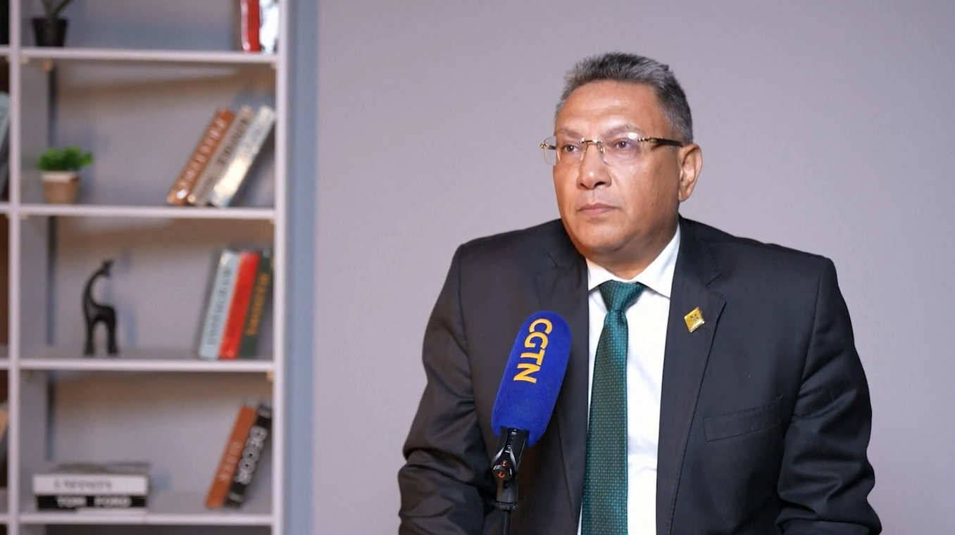 Pakar Mesir: Seruan Xi untuk Memperkuat Kerja Sama BRICS Membantu Memperkuat Suara Global Selatan