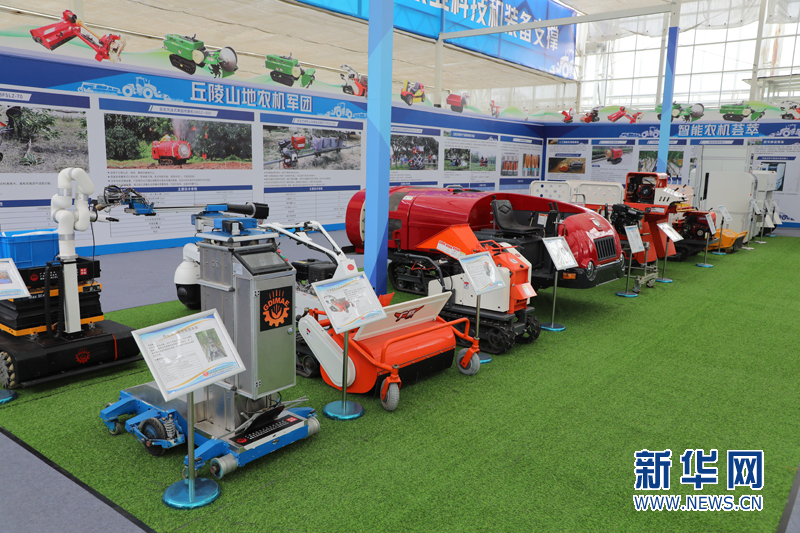 Penerapan metaverse menjadi salah satu highlight acara yang menampilkan lebih dari 6000 spesies sayuran melalui pameran online yang menampilkan teknologi Virtual Reality (VR)