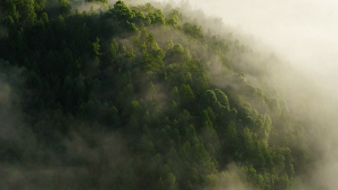 Inisiatif ambisius ini menggabungkan 75 proyek berskala besar untuk memulihkan ekosistem