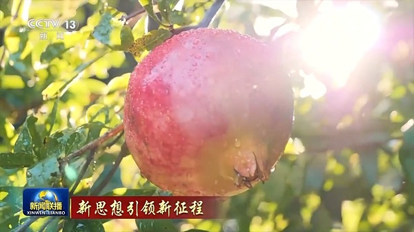 Bersatu Erat Seperti Buah Delima