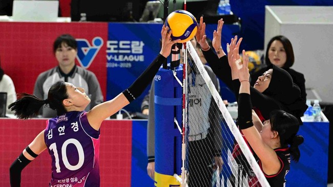 Pemain andalan Pink Spiders