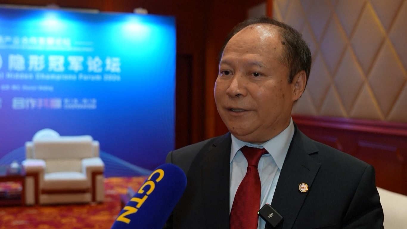 Istilah hidden champion atau juara tersembunyi digunakan untuk menggambarkan perusahaan yang telah mengambil posisi terdepan di pasar niche mereka secara global tetapi tidak dikenal oleh publik