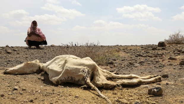 Belum lama ini Organisasi Meteorologi Dunia (WMO) memperingatkan seluruh pemerintahan di dunia untuk bersiap menghadapi cuaca ekstrem dan suhu tertinggi dalam waktu beberapa bulan mendatang 