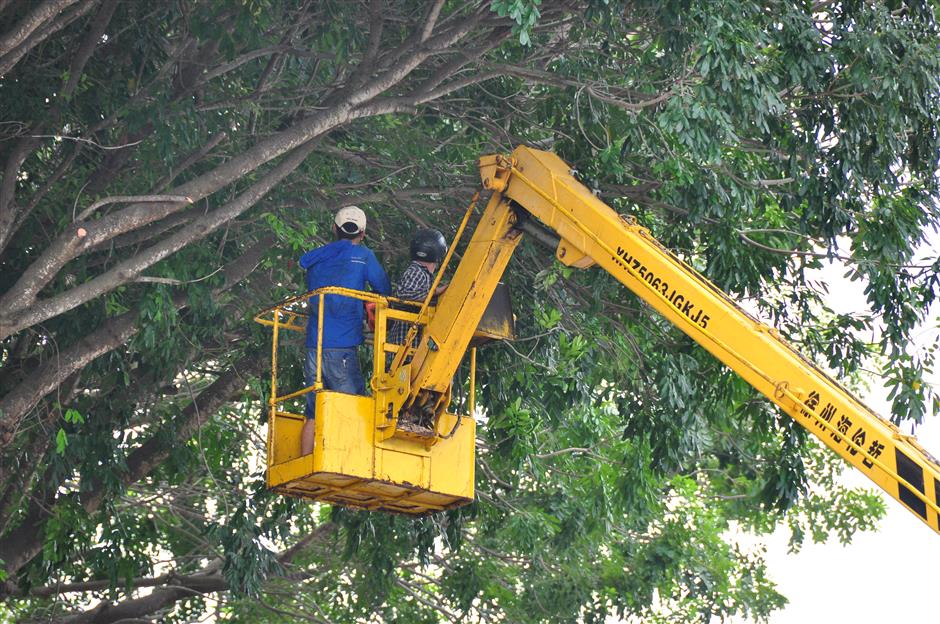 Yagi topan ke-11 tahun ini telah berkembang menjadi topan super level 17 dengan kecepatan angin hingga 209 km per jam dan bergerak menuju Hainan