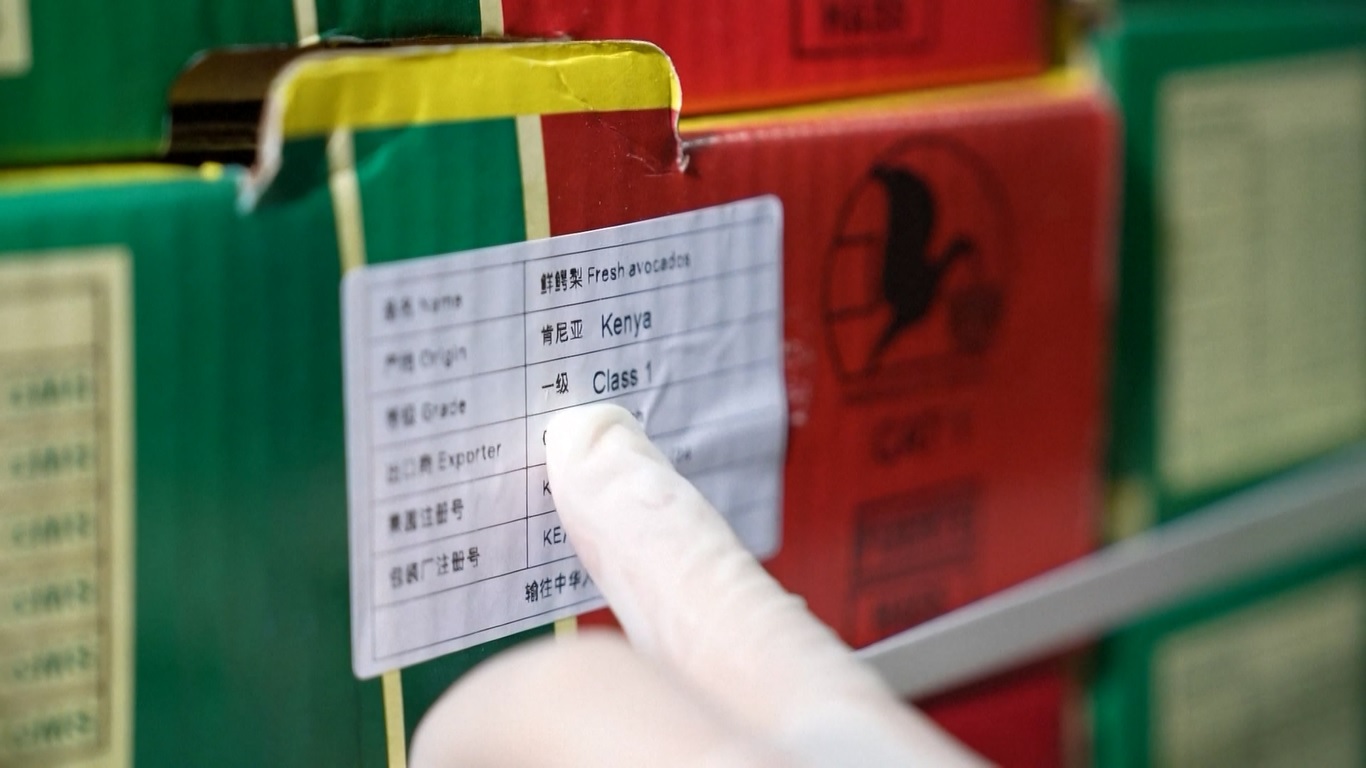 Perdagangan Tiongkok dengan hampir setengah dari negara-negara Afrika mengalami pertumbuhan dua digit dari tahun ke tahun pada tahun 2024