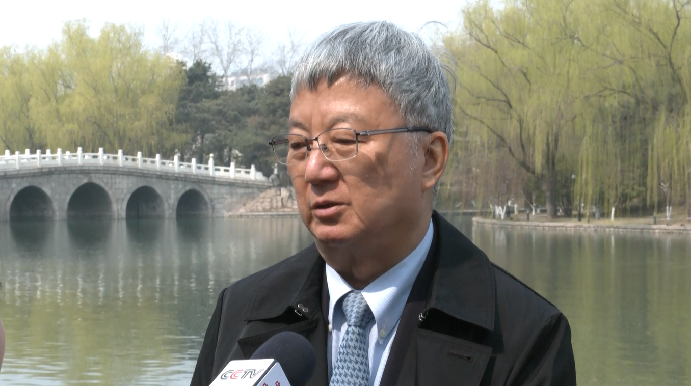 Kepastian Pertumbuhan Ekonomi Tiongkok dan Lingkungan Bisnis yang Stabil Menuai Pujian di Forum Pembangunan