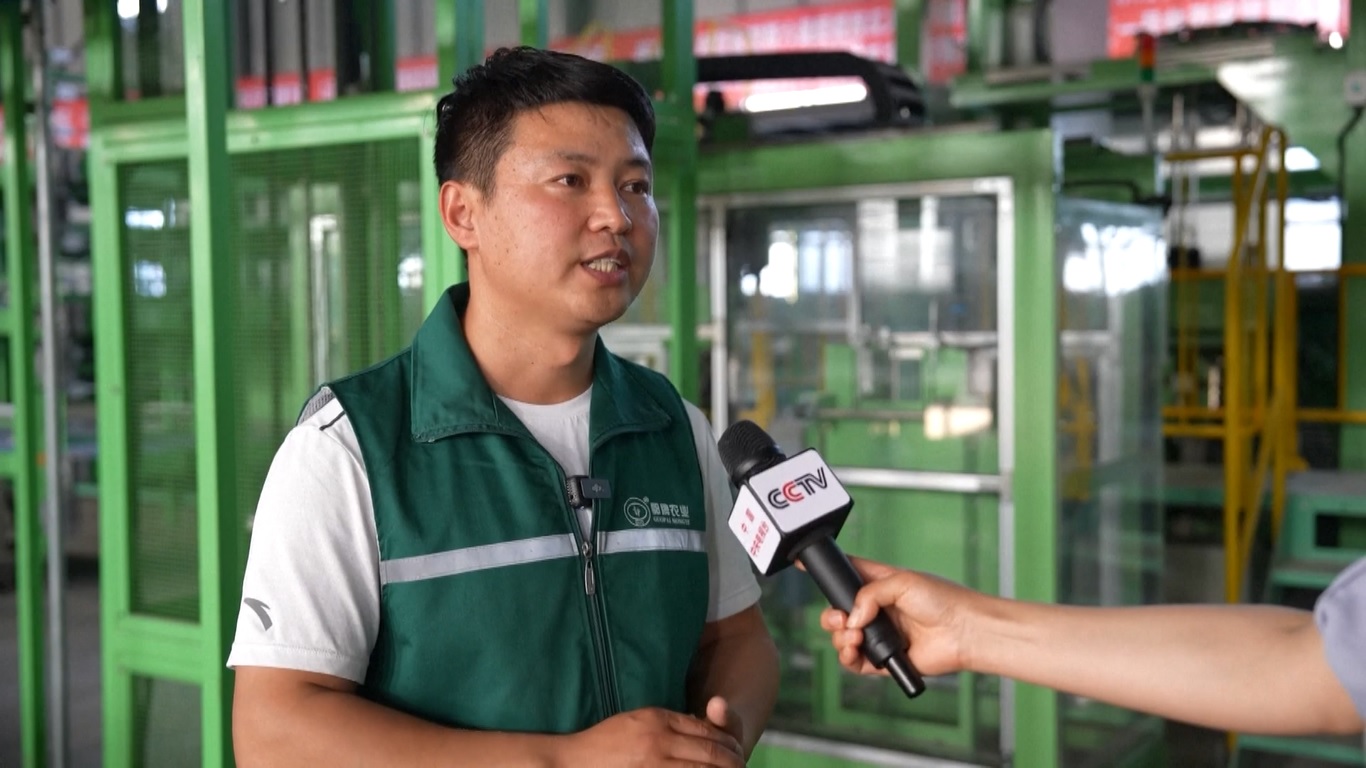 Pertanian vertikal juga menghemat tempat dan petani dapat berdiri saat merawat semangka