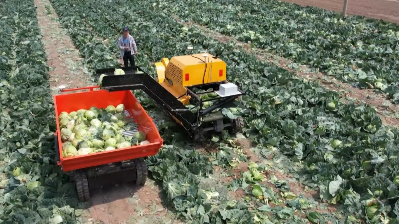 Mesin yang baru diperkenalkan yang dikembangkan oleh sebuah lembaga di bawah Kementerian Pertanian dan Urusan Pedesaan Tiongkok terbukti sangat dibutuhkan oleh para petani
