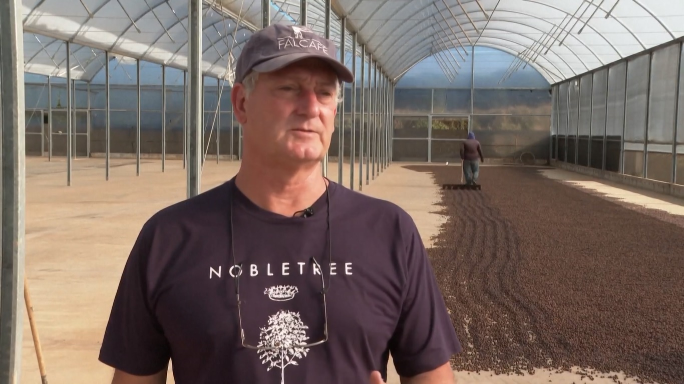 Pada paruh pertama tahun 2024