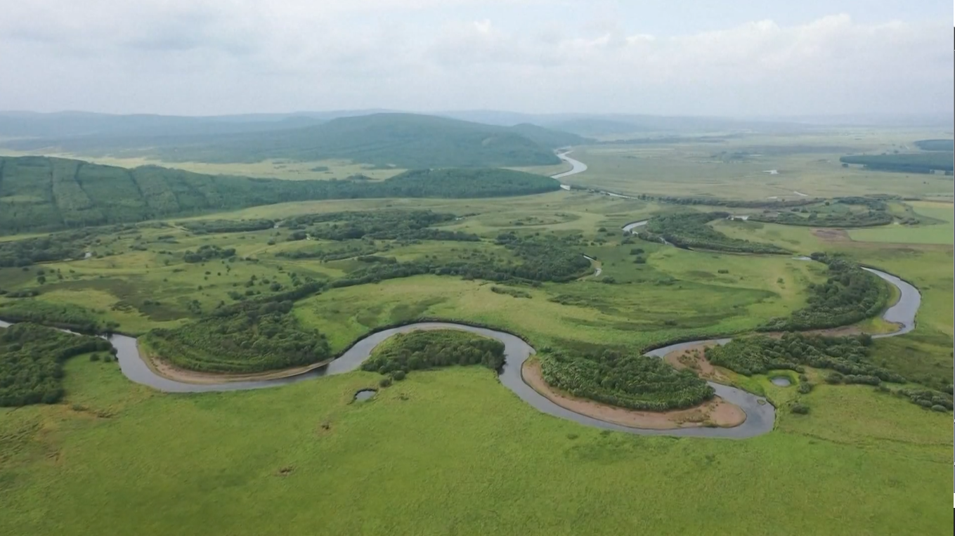 Tiongkok telah menanam lebih dari 68 juta hektar hutan baru selama 10 tahun terakhir
