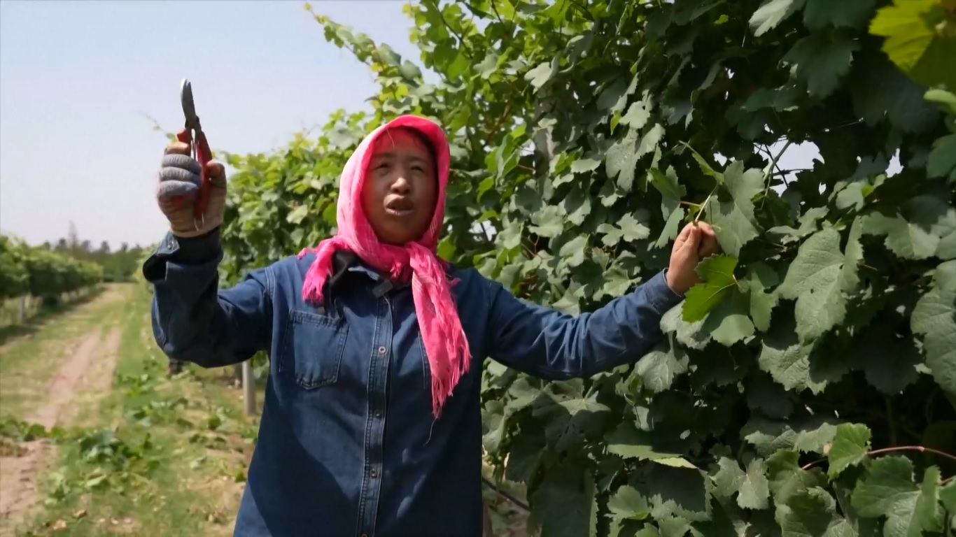 Tiongkok Ubah Lanskap Ekologi Jadi Pusat Ekonomi