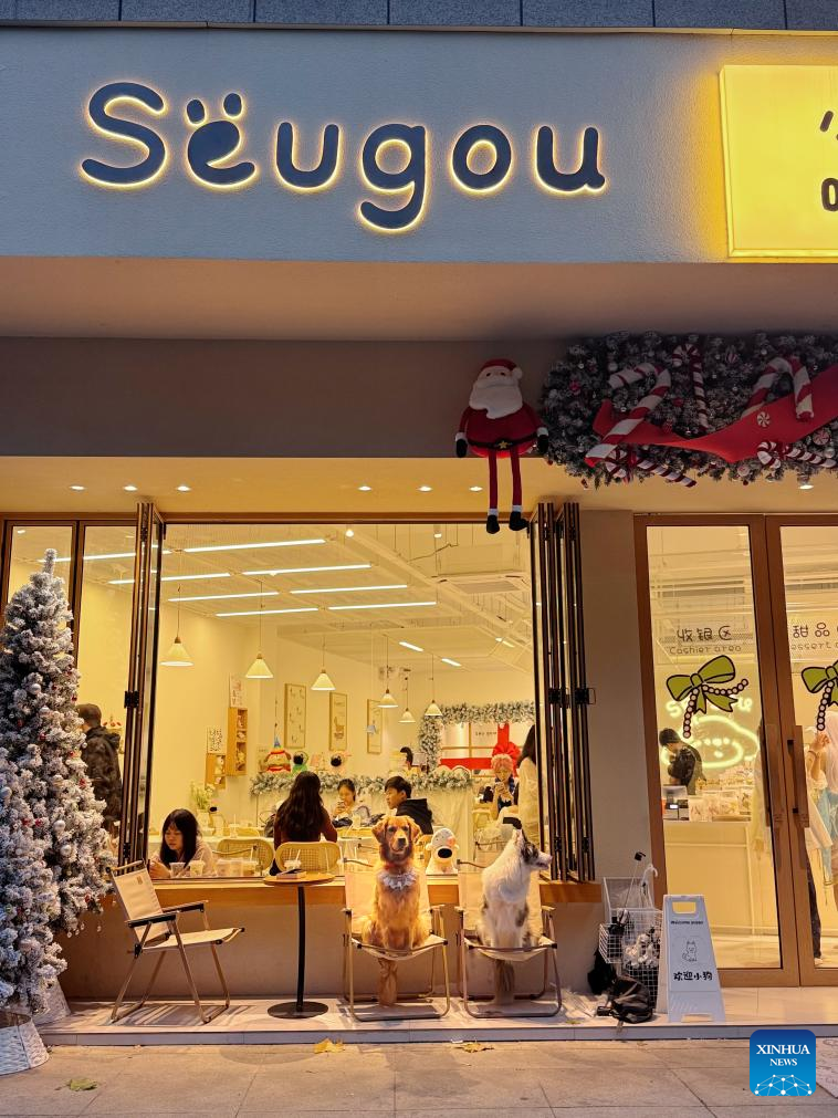 Saat ini terdapat lebih dari 3500 perusahaan yang terkait dengan kafe kucing dan lebih dari 200 bisnis yang terkait dengan kafe anjing di Tiongkok 