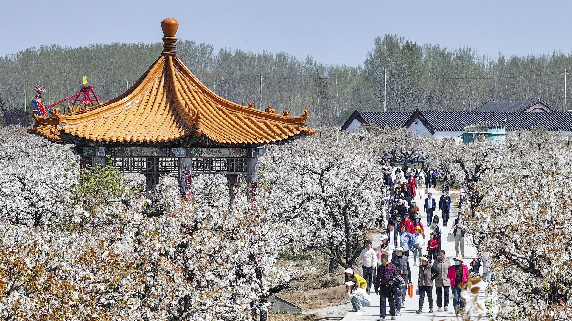 Festival Qingming