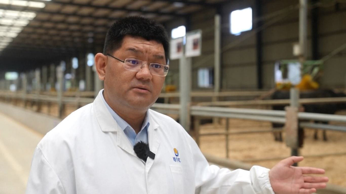 Tiga Perusahaan 'Raksasa Kecil' di Jilin Jadi Contoh Strategi Peningkatan Industri Tiongkok