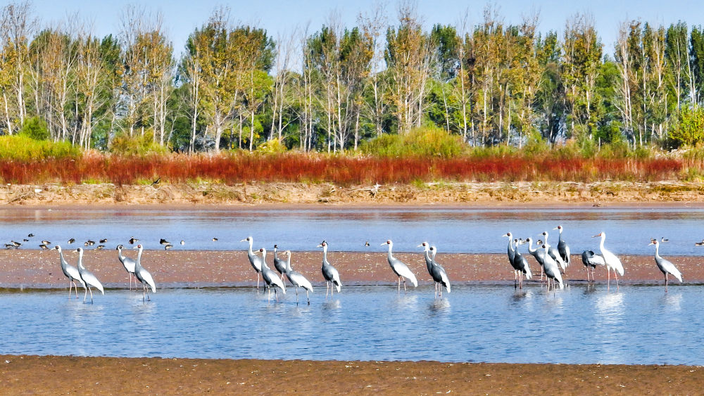 Inilah gagasan inti pemikiran peradaban ekologis Xi Jinping