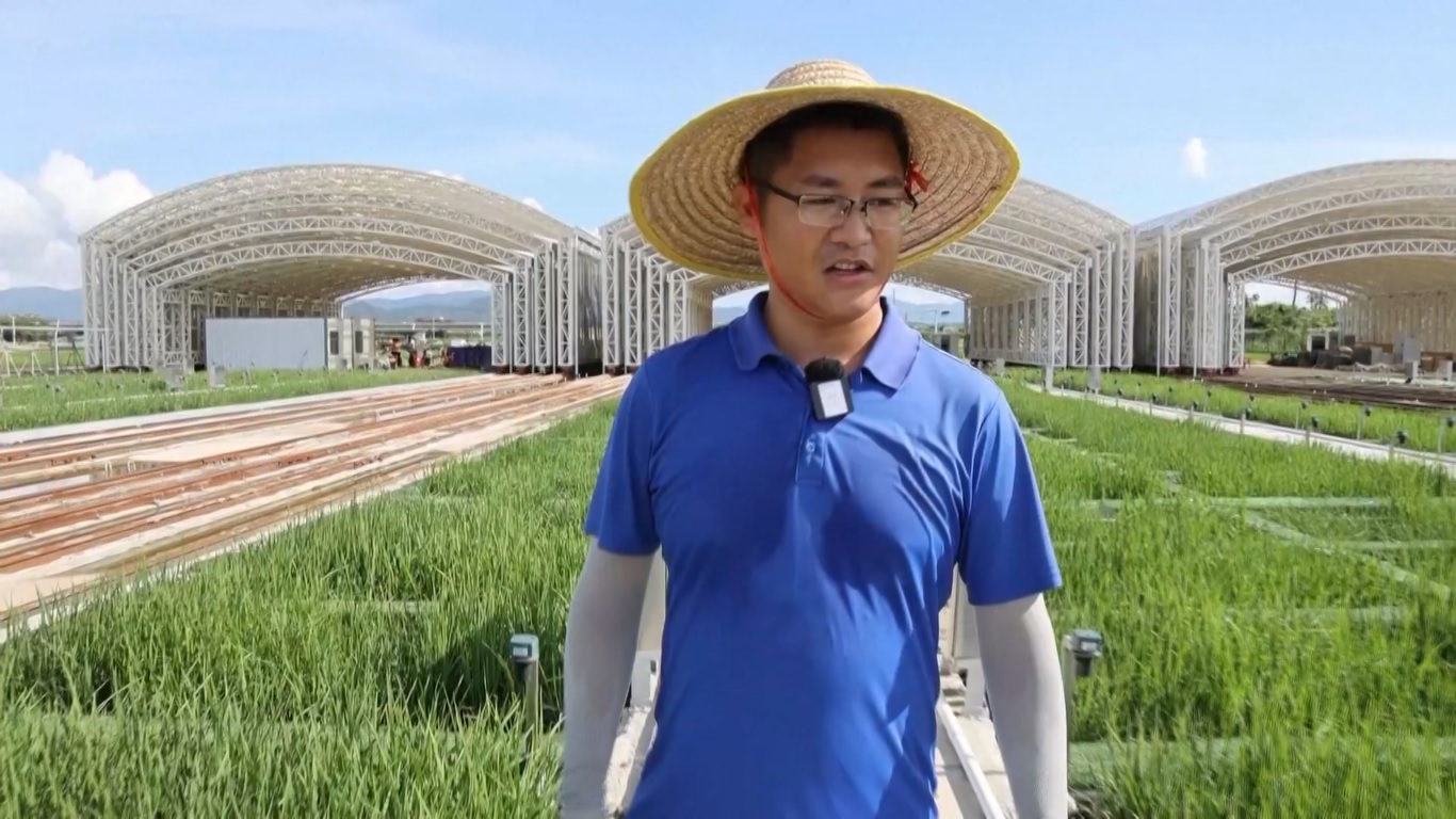 Hanya dalam waktu lima tahun