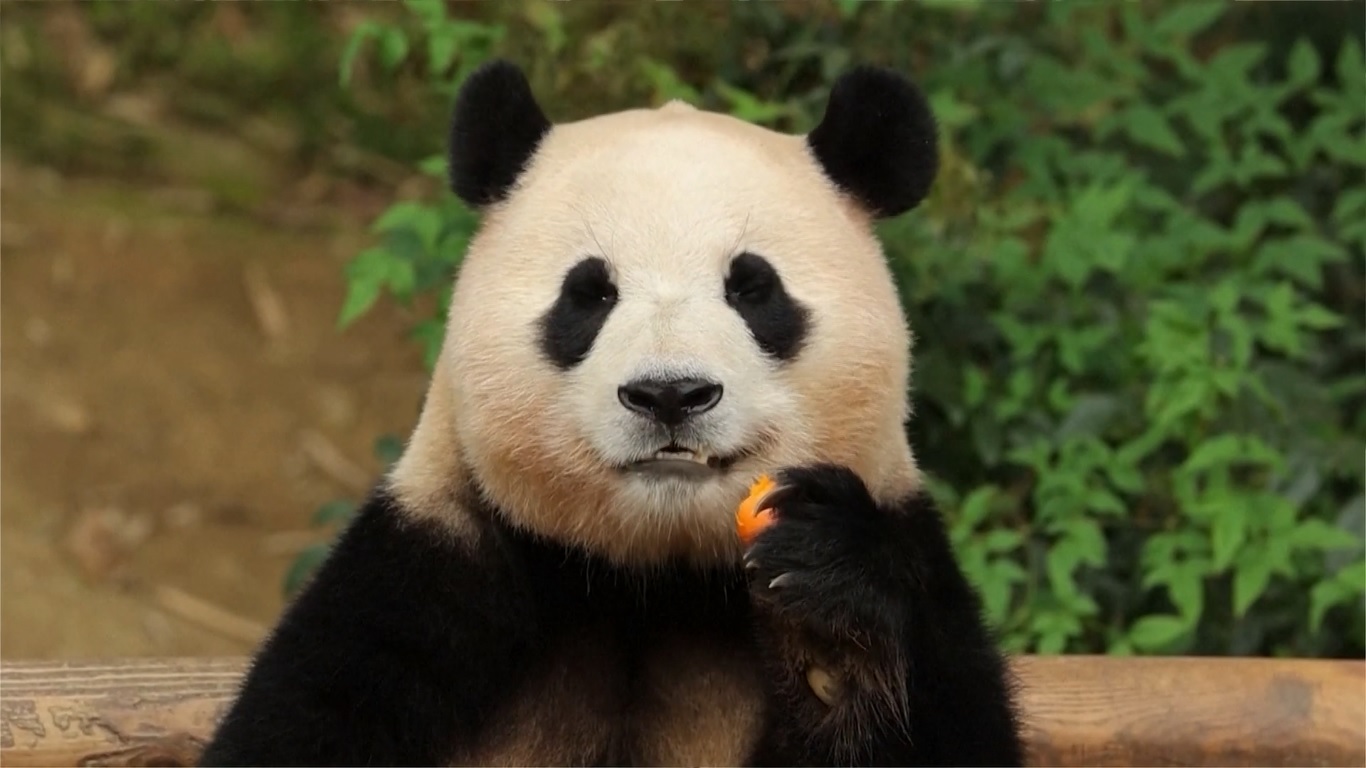 Lahir di kota Yongin