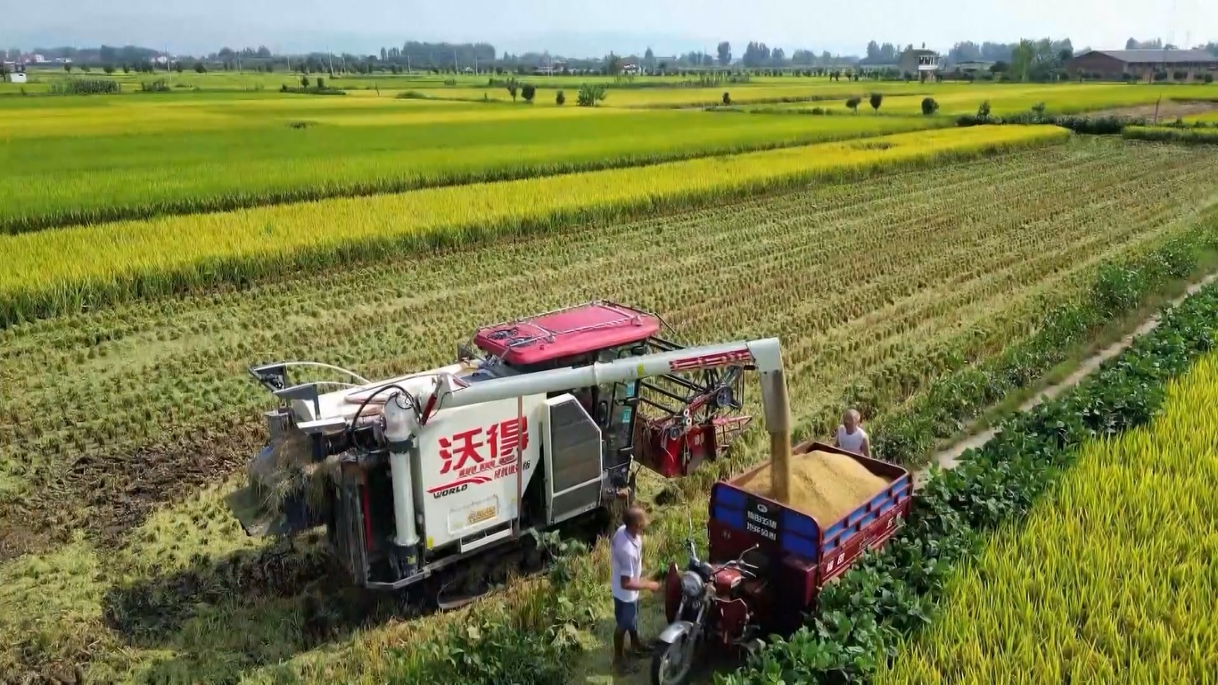 Produksi biji-bijian Tiongkok telah berevolusi dari pendekatan yang didorong oleh kuantitas dan ekstensif menjadi pendekatan yang menghargai kualitas dan efisiensi
