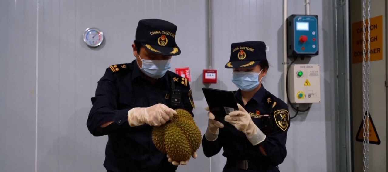 Kereta Api Tiongkok-Laos Alami Pertumbuhan Volume dan Nilai Kargo pada Tiga Kuartal Pertama 2025