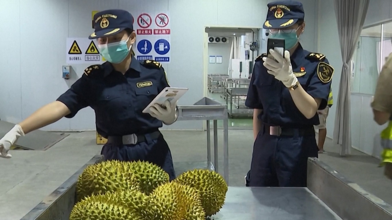 Dari Januari hingga Juli 2024