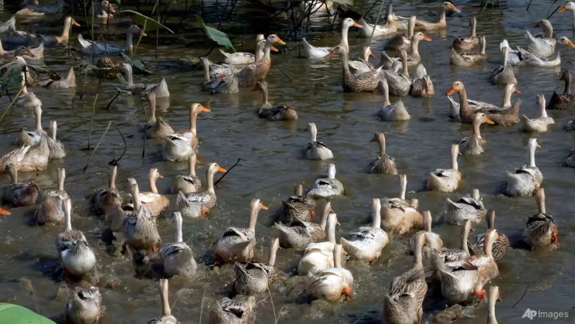 Kasus-kasus yang dilaporkan minggu lalu telah menimbulkan kekhawatiran