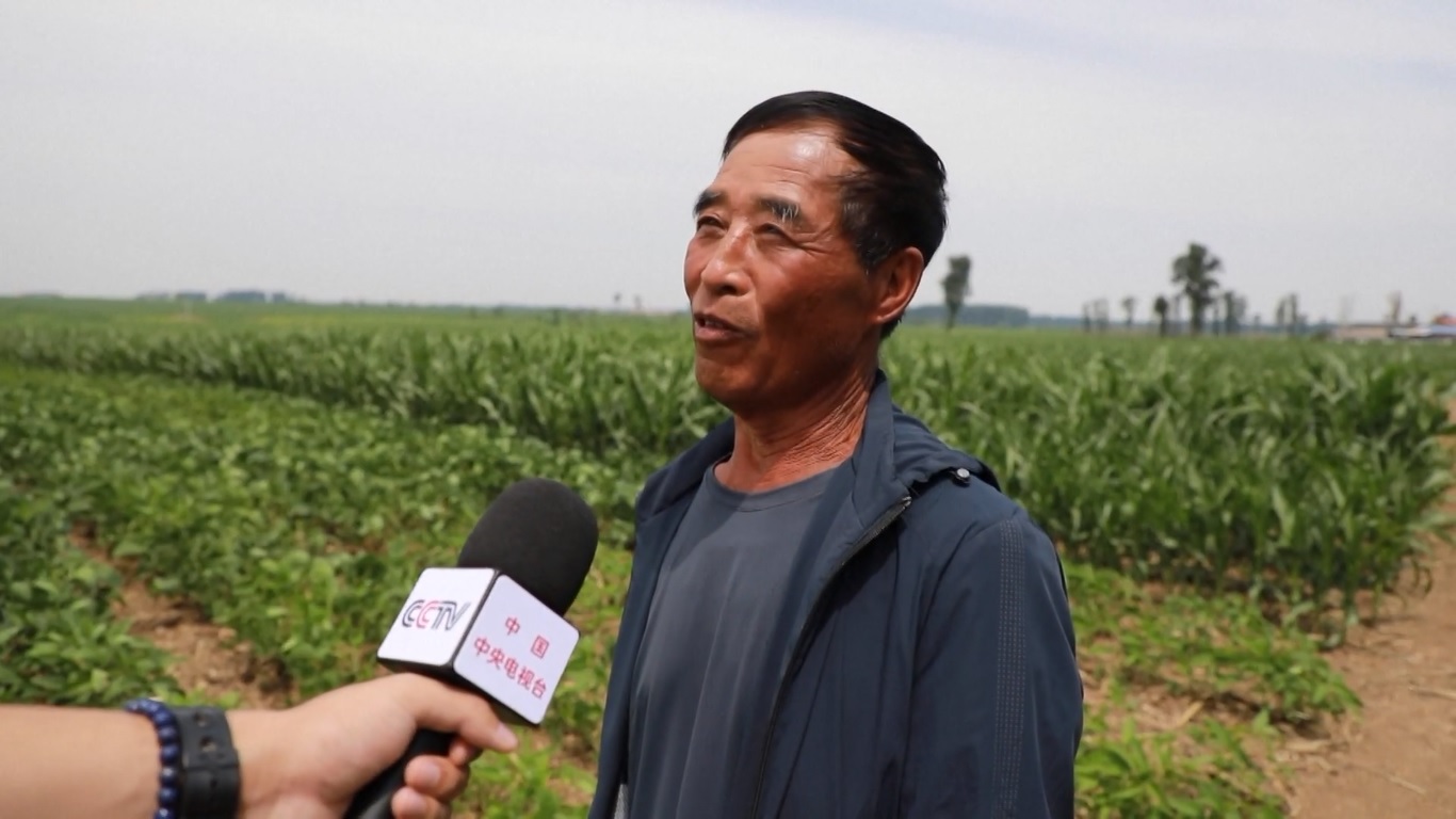 Model Lishu mengacu pada serangkaian tindakan perlindungan untuk melindungi tanah hitam