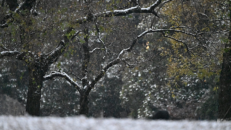 Badan Meteorologi Tiongkok kembali mengeluarkan peringatan biru untuk gelombang dingin pada hari Sabtu (17/12/2022)