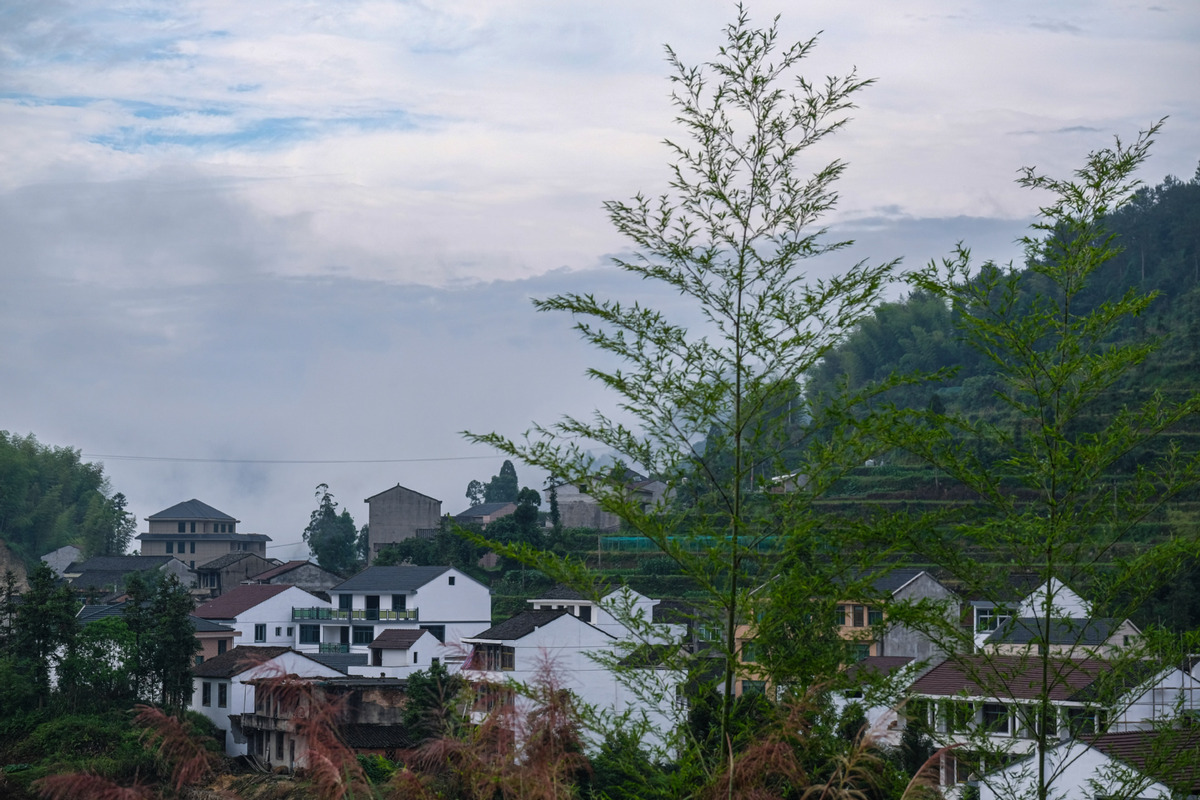 Langkah baru dikeluarkan oleh provinsi Zhejiang untuk melonggarkan pembatasan bagi non-lokal untuk mendapatkan tempat tinggal permanen di sebagian besar kota di provinsi tersebut sehingga akan menarik lebih banyak orang pedesaan untuk menetap di daerah perkotaan dan selanjutnya menjembatani kesenjangan perkotaan-pedesaan