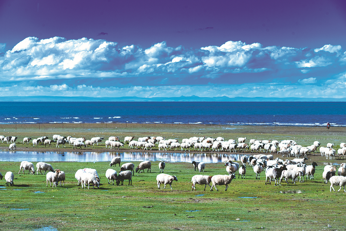 Pengadilan Tiongkok melakukan Upaya untuk Meningkatkan Perlindungan Lingkungan