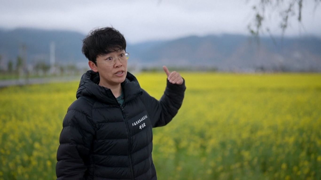 Danau Erhai Bangkit dari Polusi menuju Kemakmuran selama Dekade Terakhir