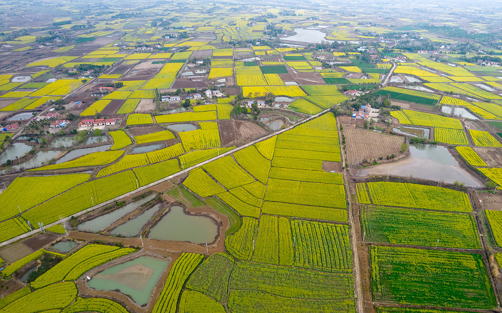 Membangun pedesaan yang indah merupakan harapan masyarakat Tiongkok