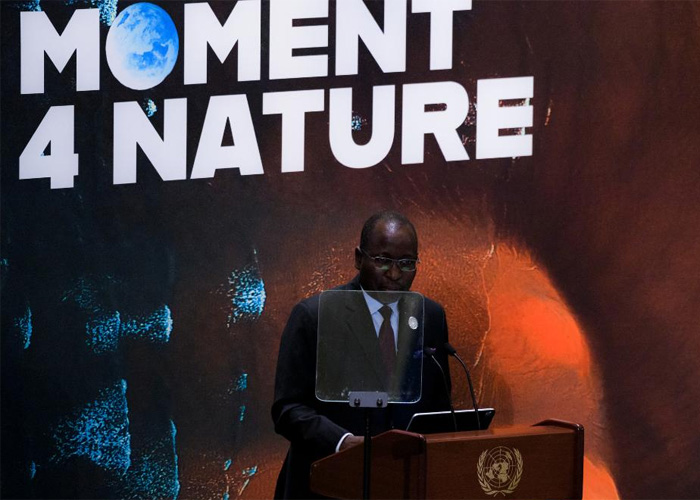 Presiden Economic and Social Council (Ecosoc) PBB Collen Vixen Kelapile mengatakan Tiongkok patut menjadi contoh negara yang upaya pengentasan kemiskinan di negaranya patut dipelajari di tengah krisis global