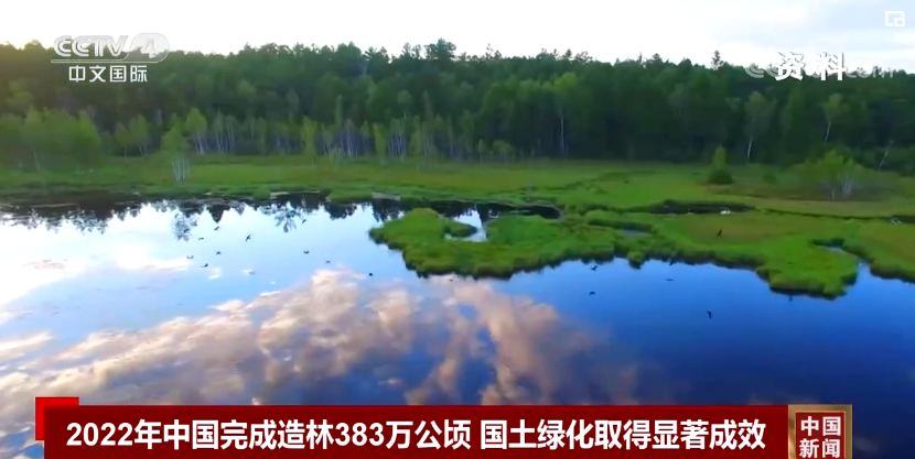 Bertepatan dengan Hari Menanam Pohon ke-45 yang jatuh pada hari Minggu kemarin (12/3)